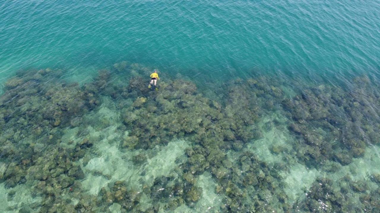 เกาะไหง ไข่มุกทอง รีสอร์ท ภายนอก รูปภาพ